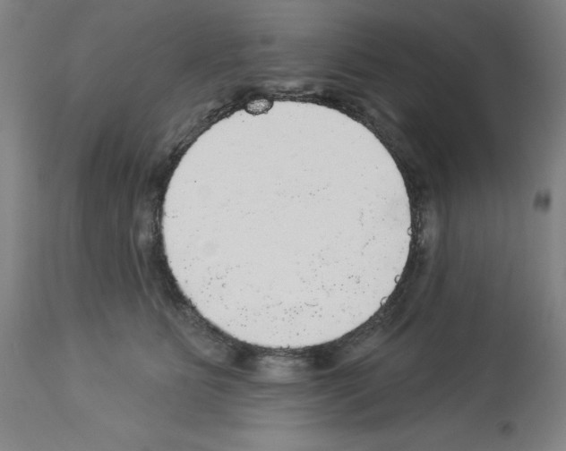 X0000112910515200910051046