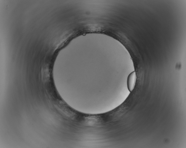 X0000112910516200910051046