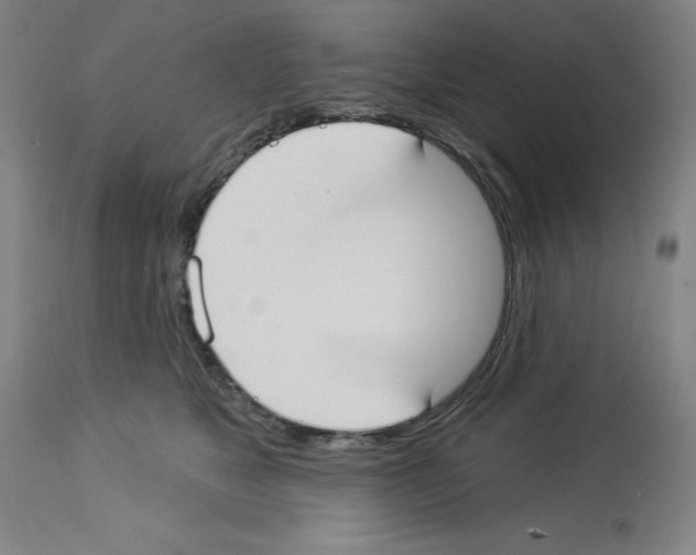 X0000112910517200910051046