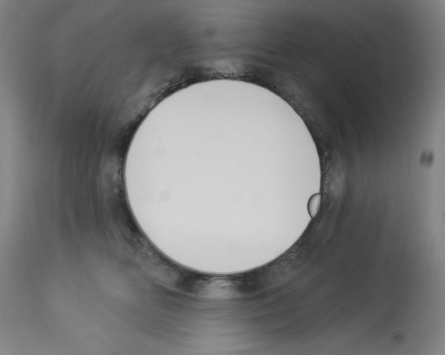 X0000112910518200910051046