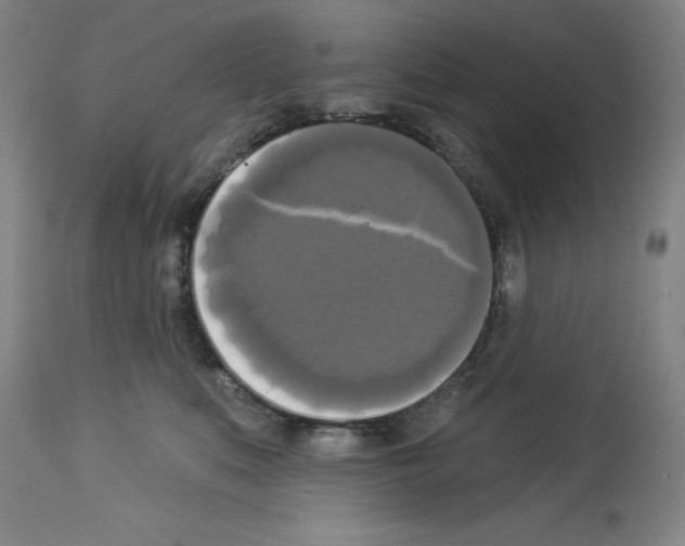 X0000112910519200910051046