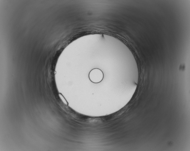 X0000112910520200910051046