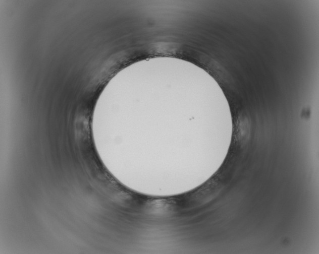X0000112910522200910051046