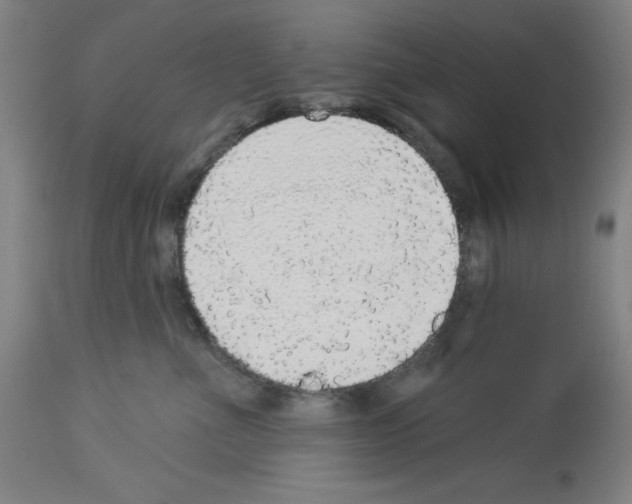X0000112910523200910051046