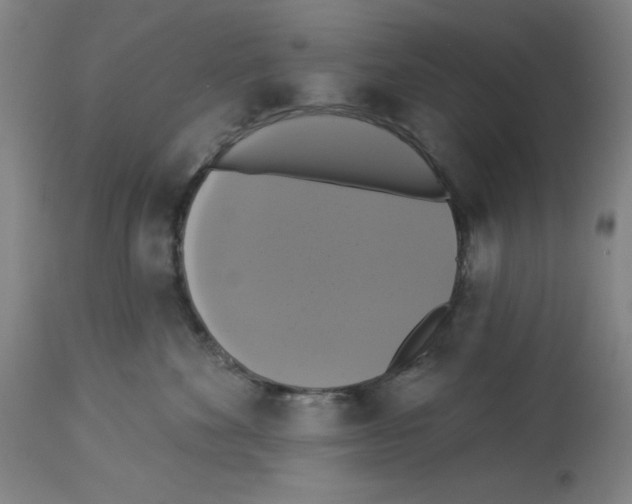 X0000112910524200910051046