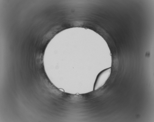 X0000112910525200910051046