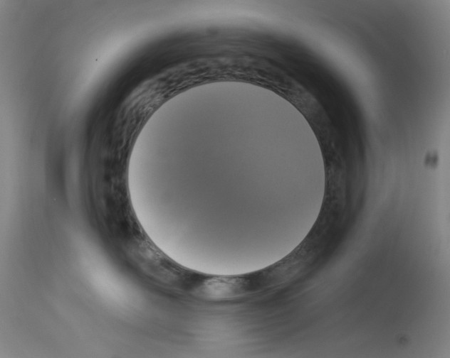 X0000112910526200910051046