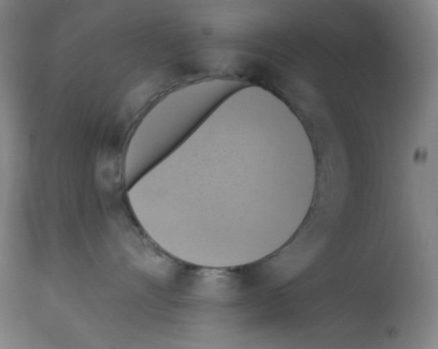 X0000112910528200910051046
