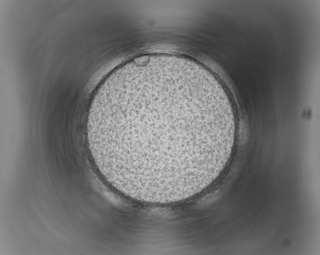 X0000112910529200910051045