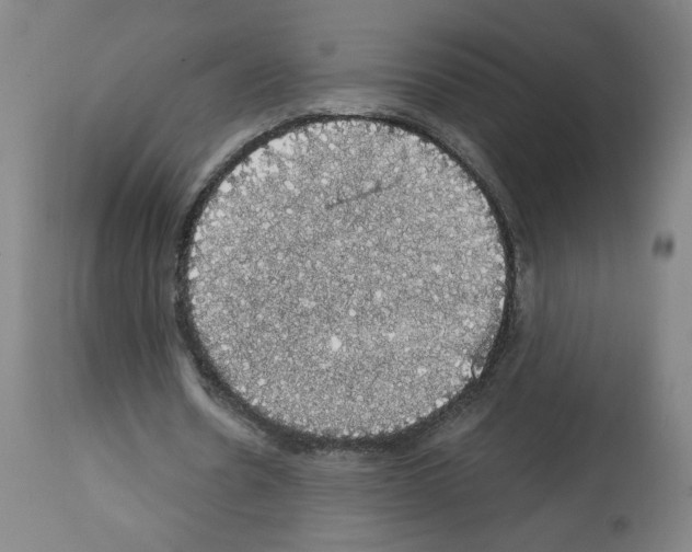 X0000112910530200910051045
