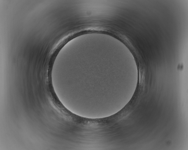 X0000112910531200910051045