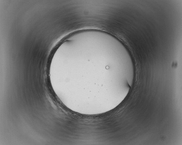 X0000112910532200910051045