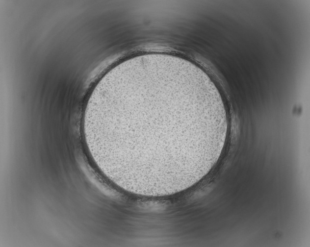 X0000112910533200910051045