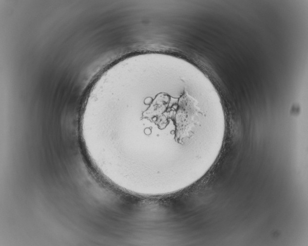 X0000112910534200910051045