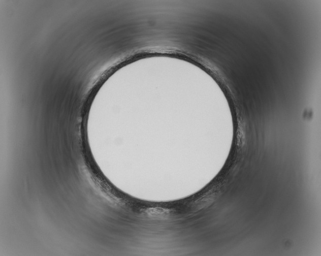 X0000112910535200910051045