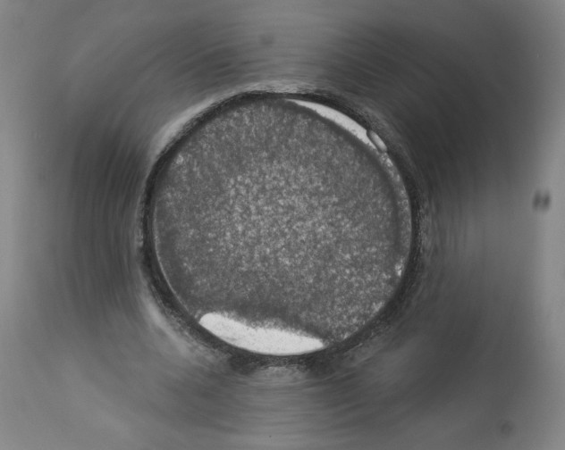 X0000112910536200910051045