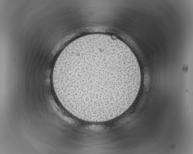 X0000112910537200910051045