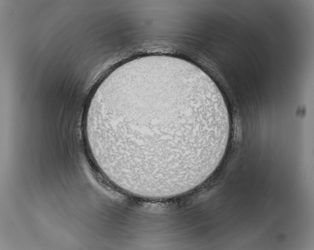 X0000112910538200910051045