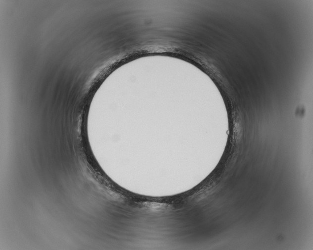 X0000112910539200910051045