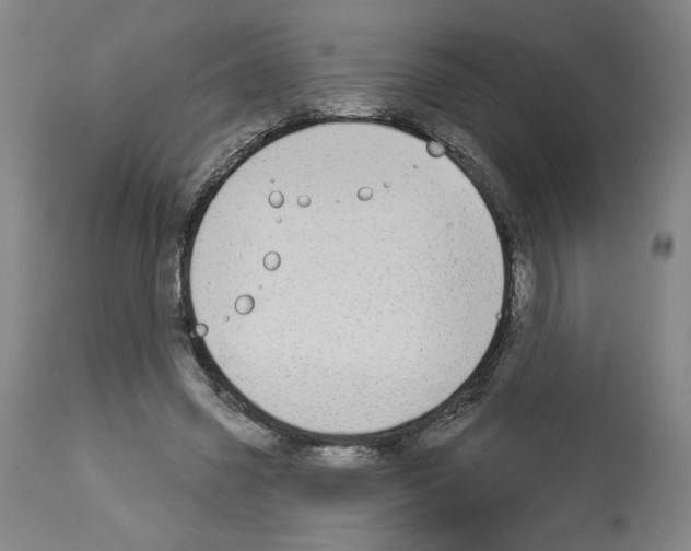 X0000112910541200910051045