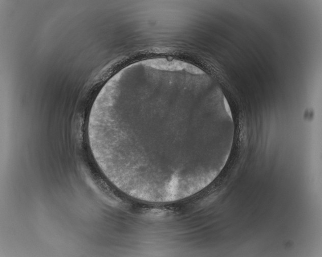 X0000112910542200910051045