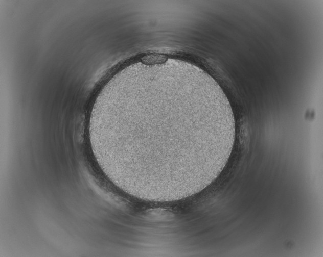 X0000112910544200910051045