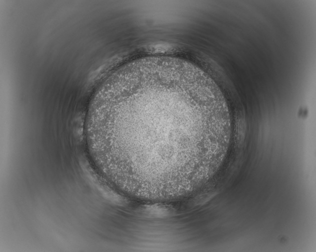 X0000112910545200910051045