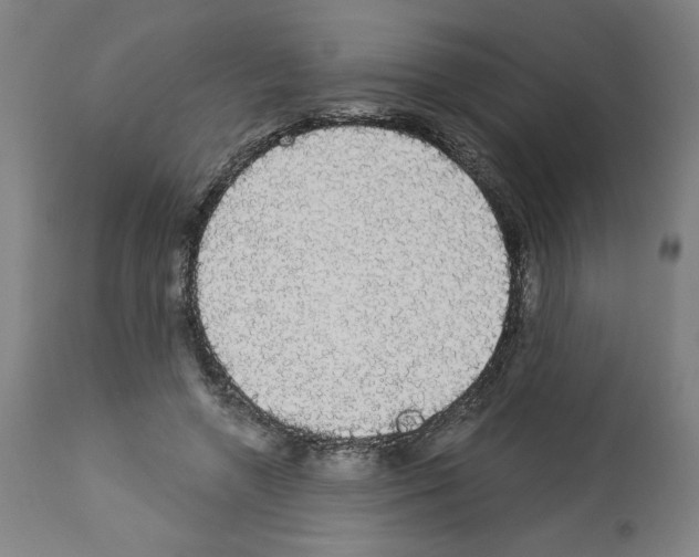 X0000112910546200910051045