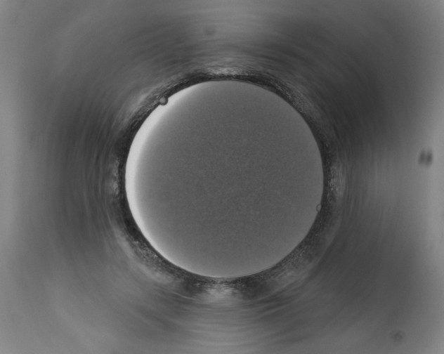 X0000112910547200910051045