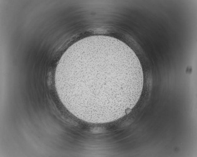 X0000112910549200910051045