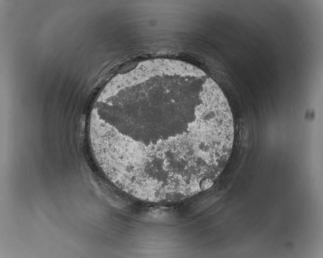 X0000112910550200910051045