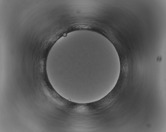 X0000112910551200910051045