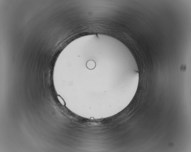 X0000112910552200910051045