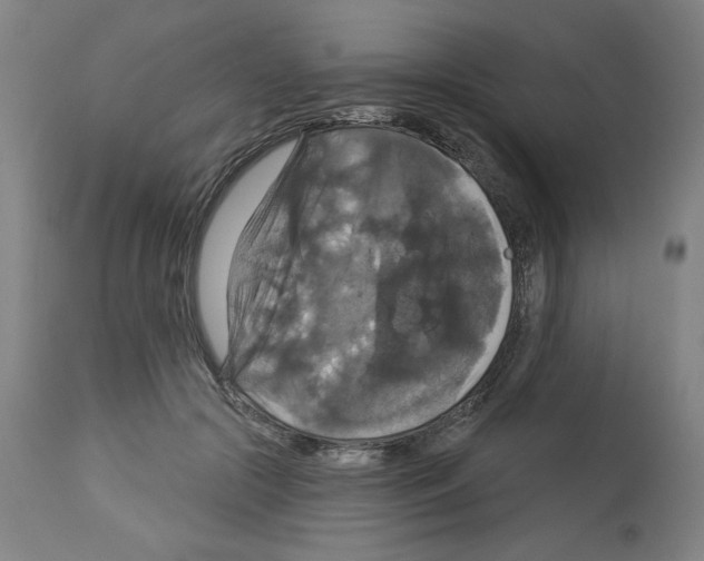 X0000112910553200910051045
