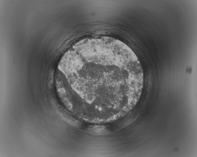 X0000112910554200910051045