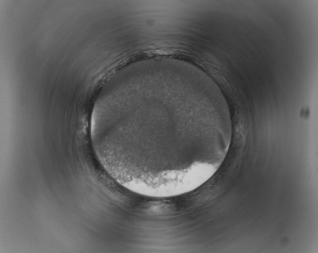 X0000112910555200910051045