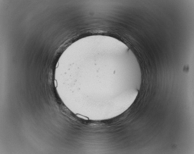 X0000112910556200910051045