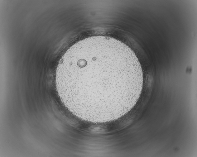 X0000112910557200910051045