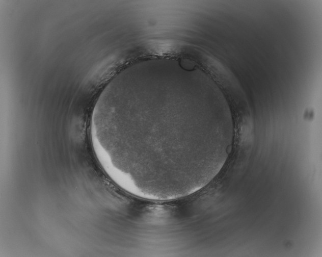 X0000112910558200910051045