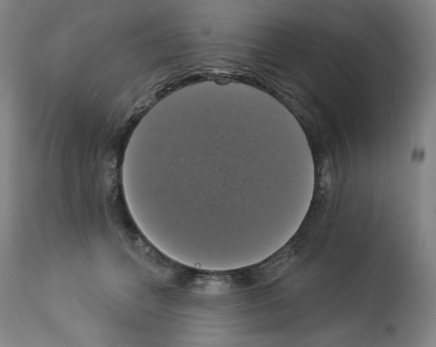 X0000112910559200910051045