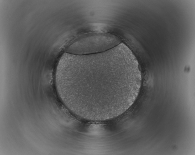 X0000112910560200910051045