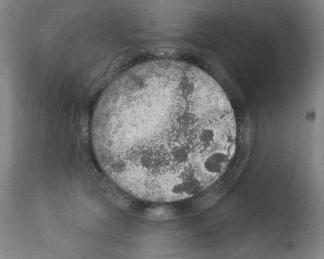 X0000112910561200910051045