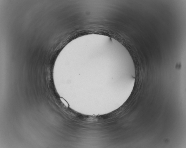 X0000112910562200910051046