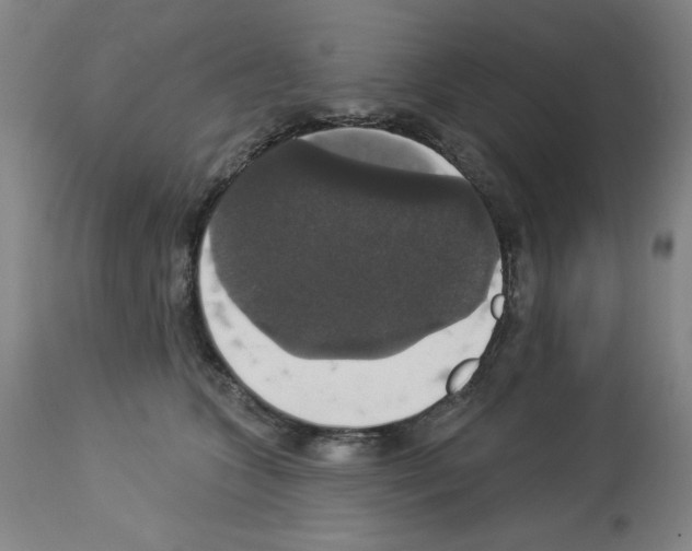 X0000112910563200910051046