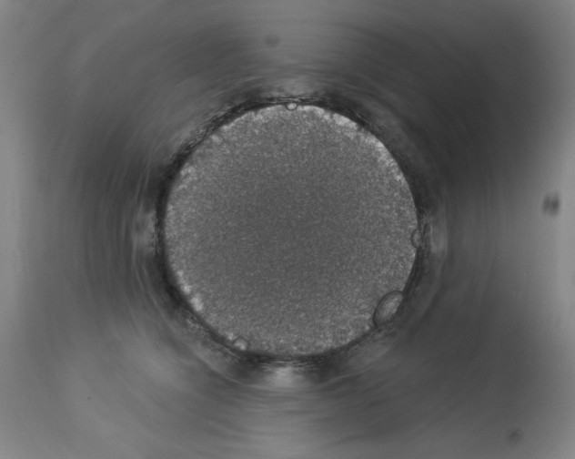 X0000112910564200910051046