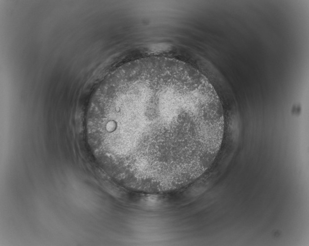 X0000112910565200910051046