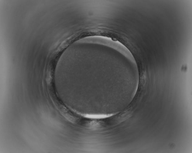 X0000112910566200910051046
