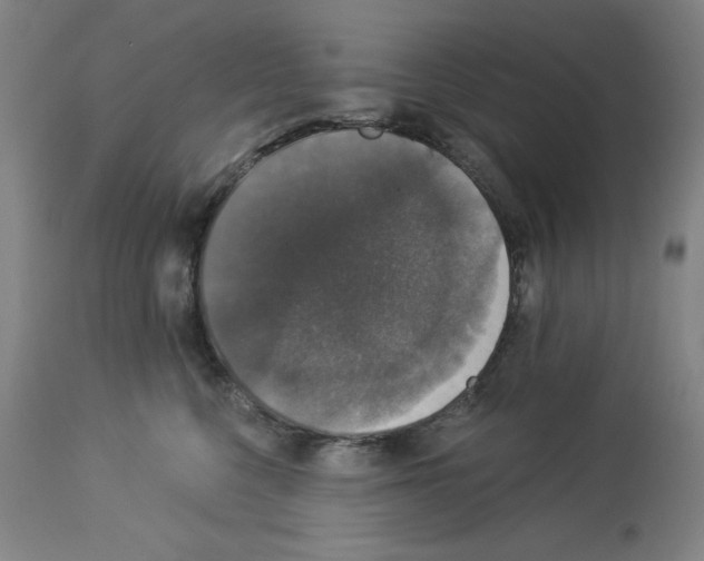 X0000112910568200910051046