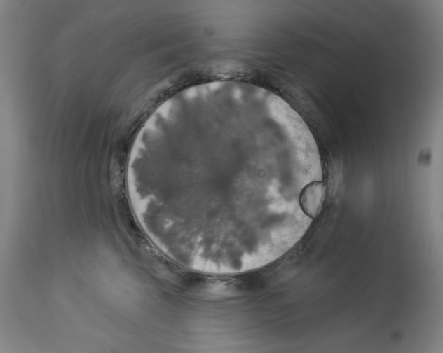 X0000112910569200910051046