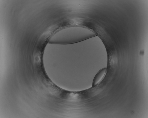 X0000112910570200910051046